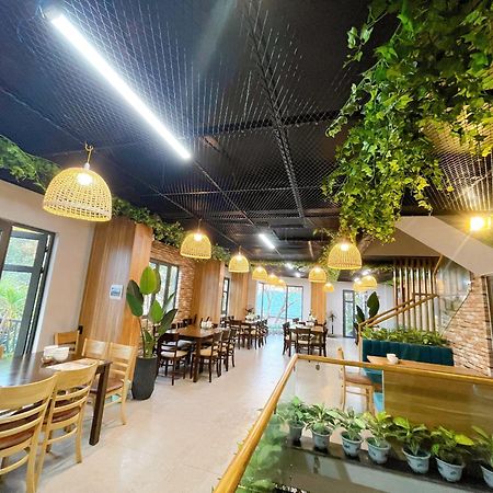 Mai An Homestays Mong Cai Dış mekan fotoğraf